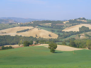 Le Marche Hills